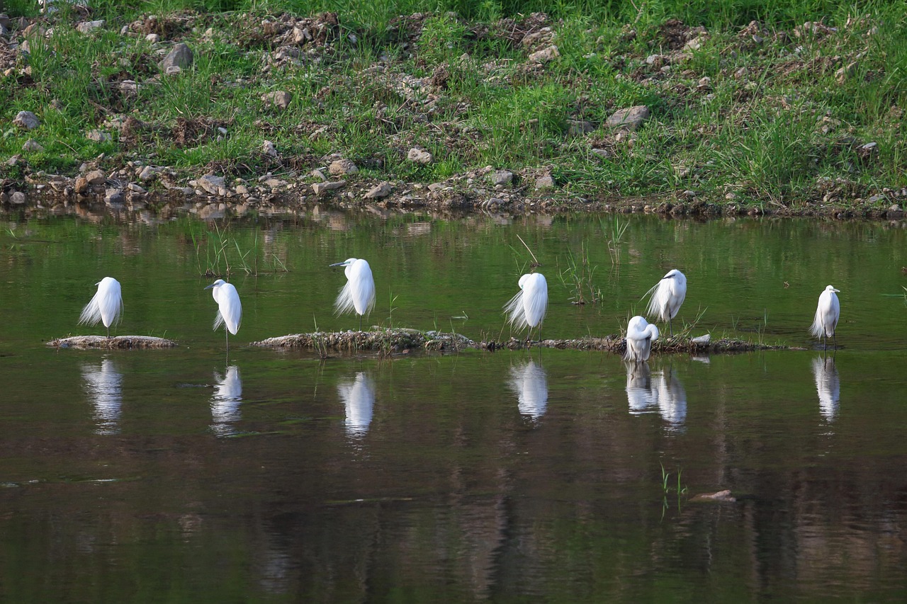 Common heron, stream, break — 100+ Sweet Instagram Username Ideas for Boys & Girls