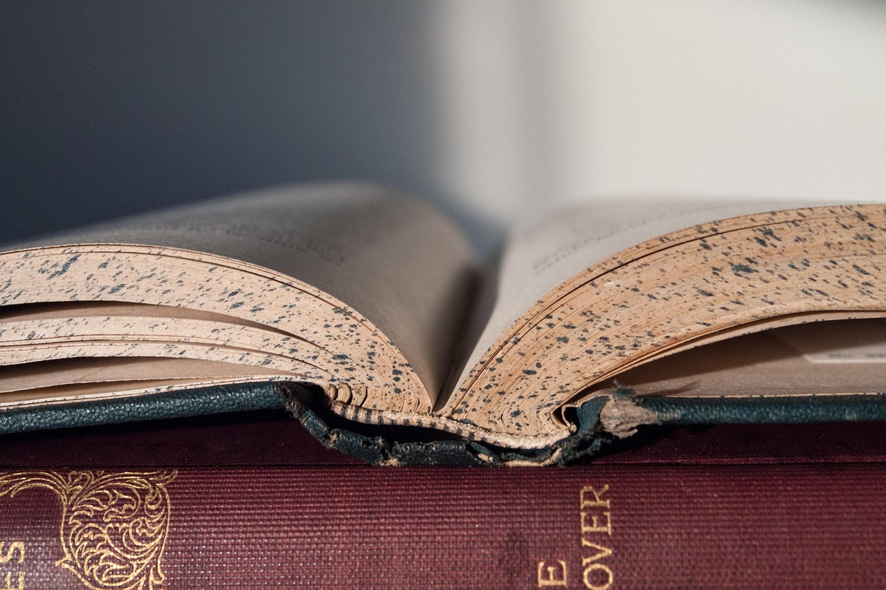 Book, windows wallpaper, reading — Academic Success Stories Fueled by Aid Access