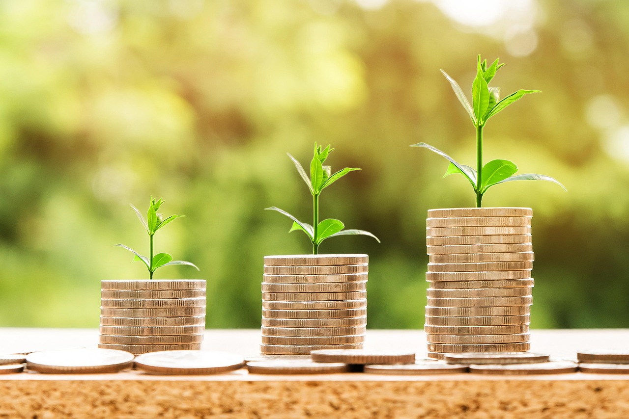 Money, profit, finance — Comparing MDF Shelf Boards and Other Wood-based Materials