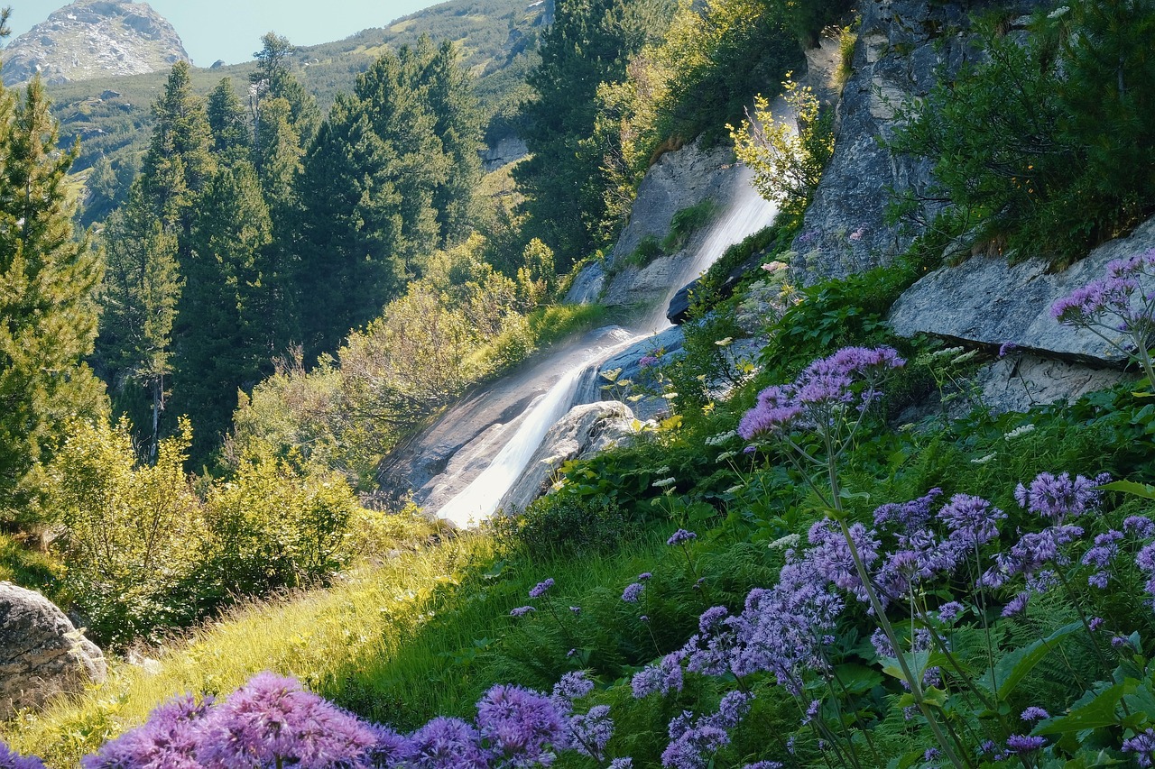 Waterfall, mountains, water — IPTV Adult Features with Full Parental Control Options