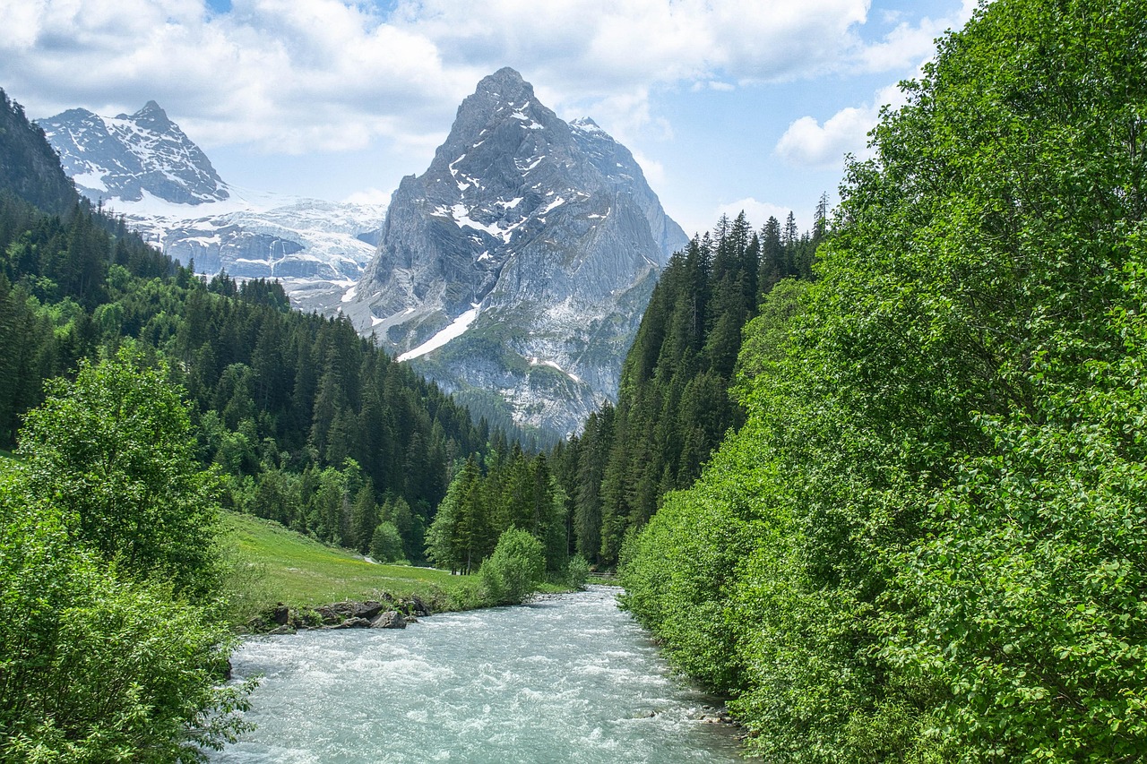 Mountain, river, stream — Live Sports Broadcast: Bringing the Stadium Experience to Your Home