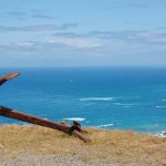 New zealand, sea, beach — The Best Online Casino in Canada for Live Dealer Games