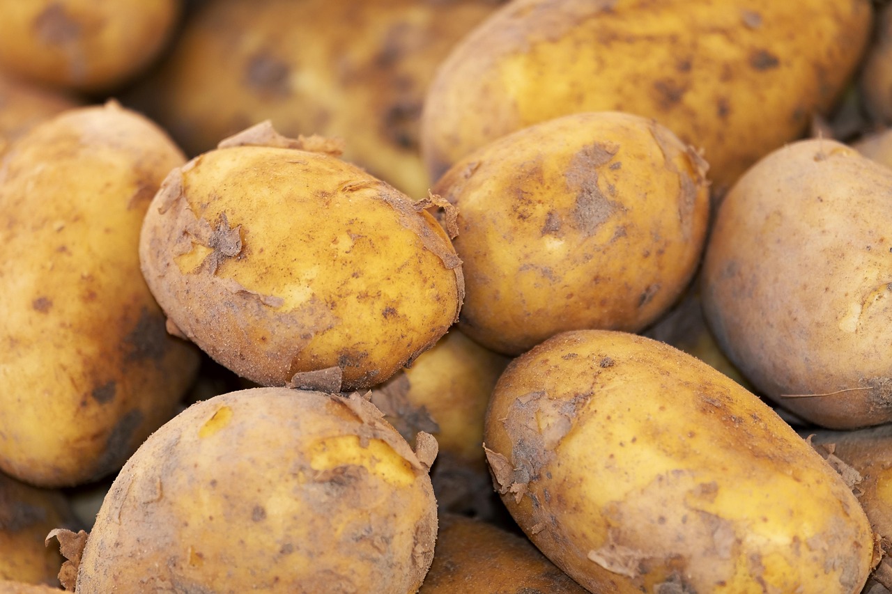 Potato, new harvest, nature — Unleashing Your Website's Potential with Seobility SEO Checker
