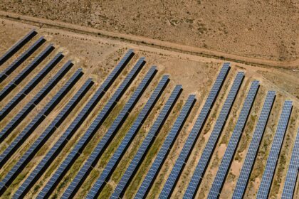 carbon credit projects