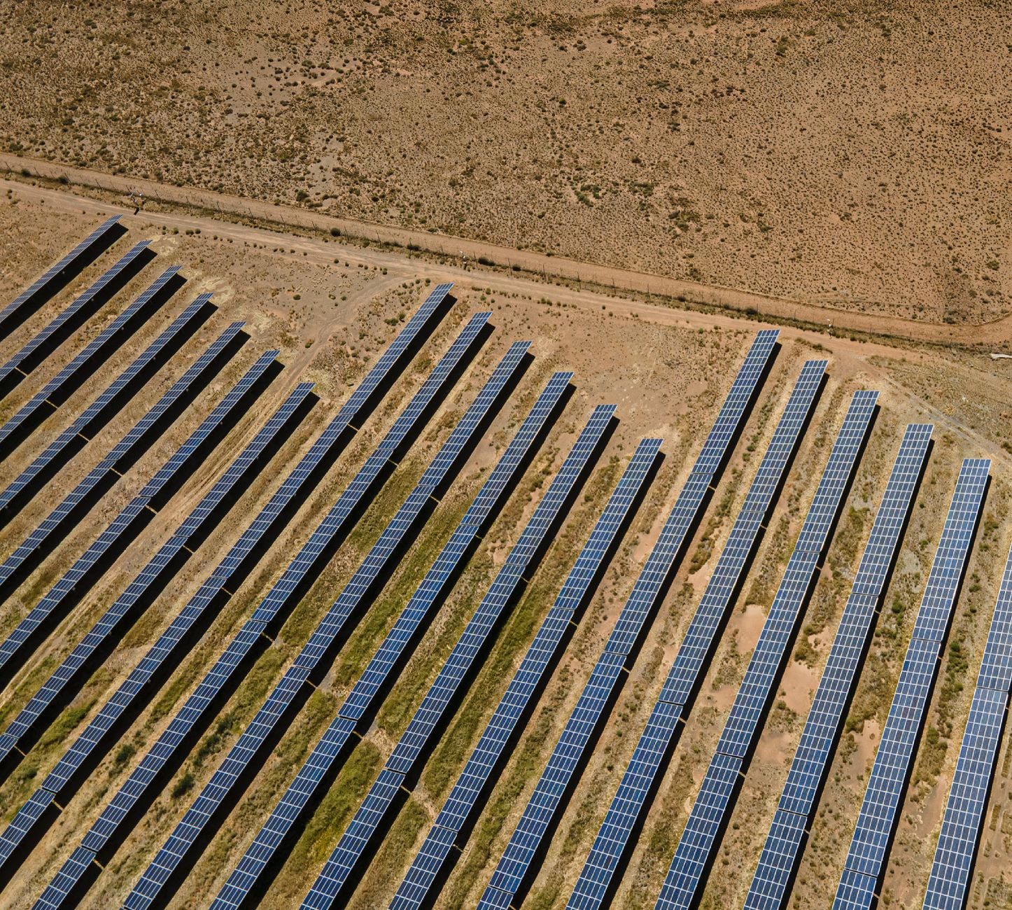 carbon credit projects