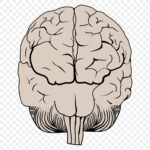AI research transparency