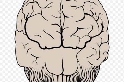 AI research transparency