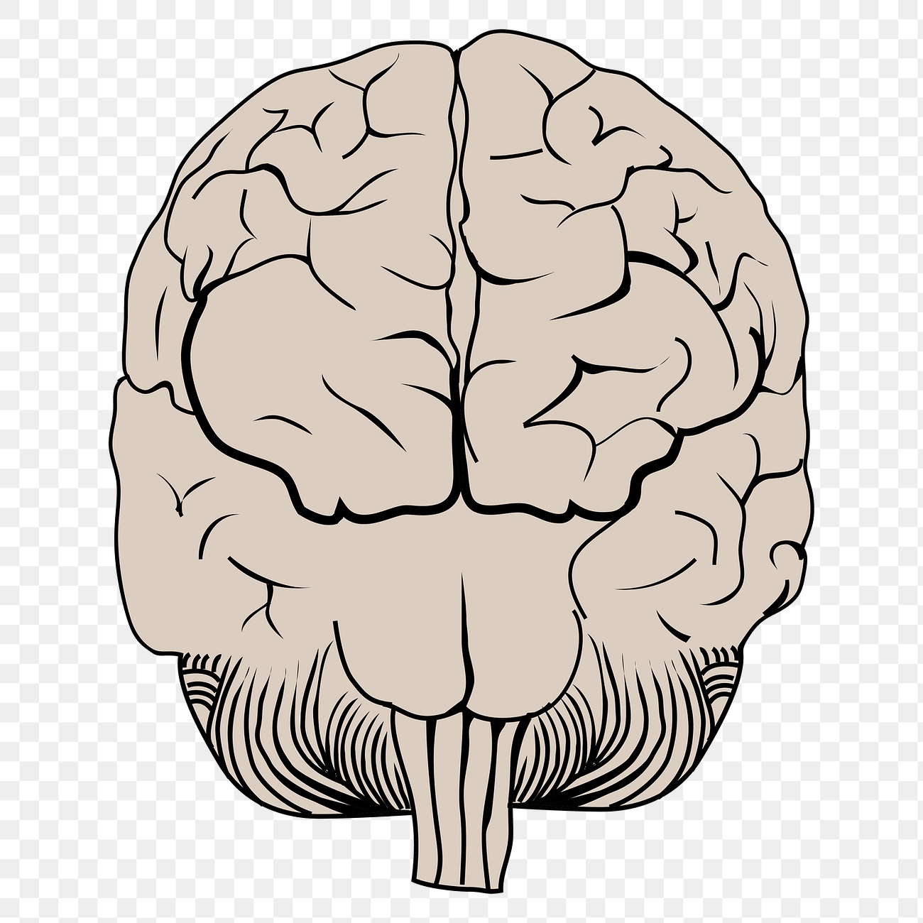 AI research transparency
