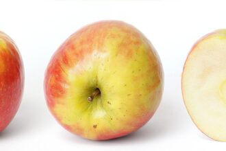 Apple stock rise